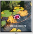 /album/photo-gallery-canvas-uri/decoratiuni-de-perete-canvas-lc-0679-jpg/